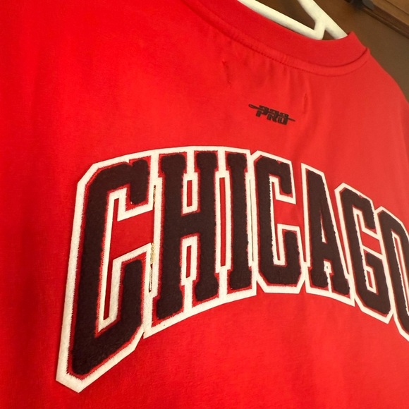 PRO STANDARD Chicago Bulls Embroidered Crop Top - Picture 4 of 5